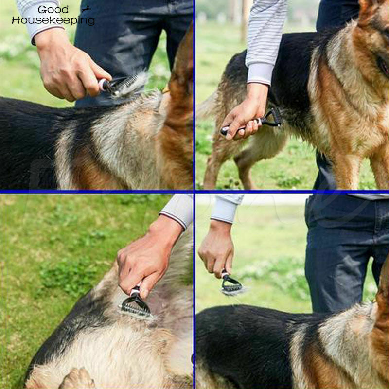 Pente de Remoção de Pelos Rasqueadeira Pet Profissional